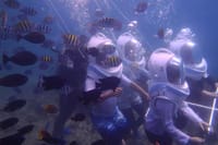 walking in the bottom of the sea