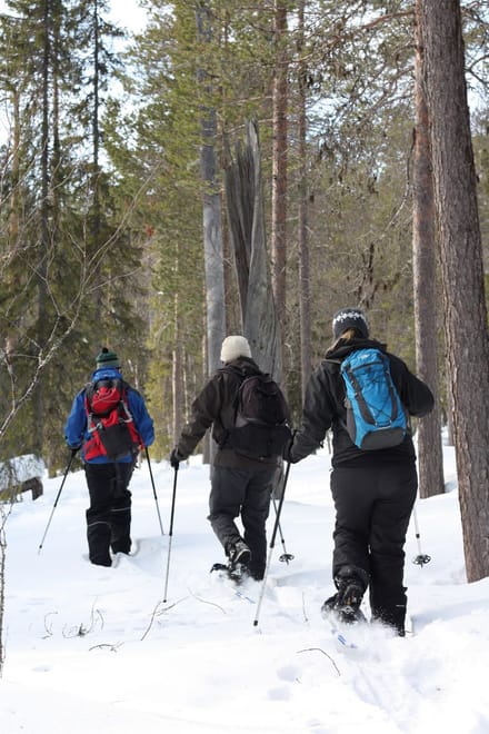 Discover Secrets of Lappish Nature – Snowshoe Experience 7