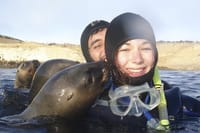 Snorkeling with Sea Lions in Puerto Madryn 1