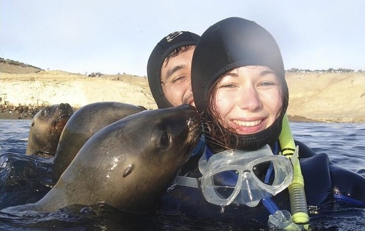 Snorkeling with Sea Lions in Puerto Madryn