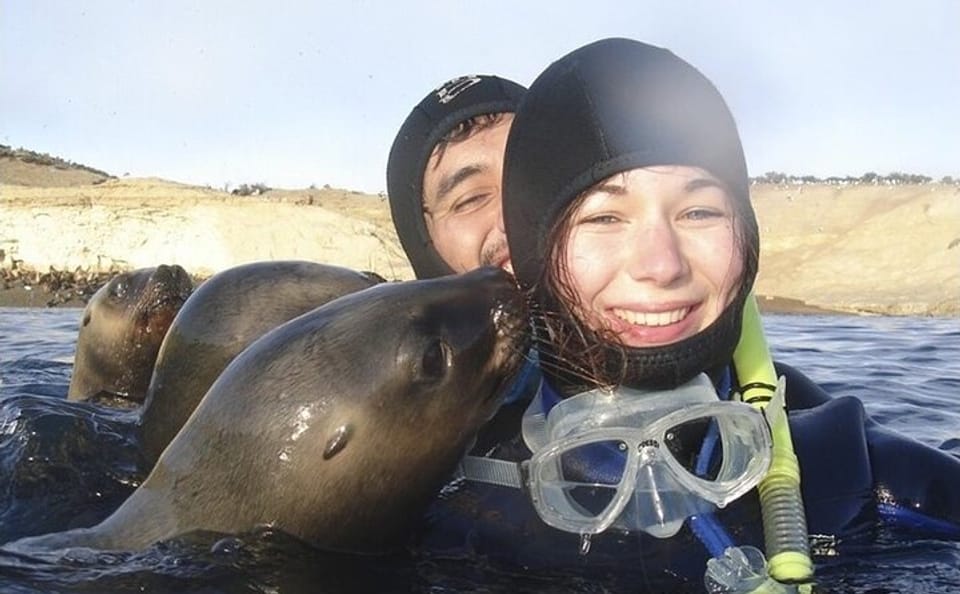 Snorkeling Adventure with Sea Lions in Puerto Madryn