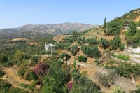 Half Day Private Tour to Botanical Garden in Chania 10