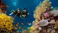 Discover Scuba Diving In Kefalonia 6