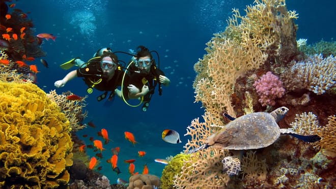 Discover Scuba Diving In Kefalonia