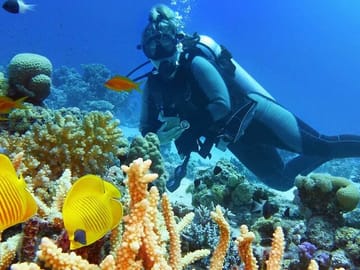 Diving and Snorkeling Day Trip from Hurghada, Egypt