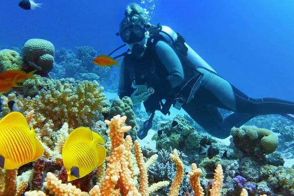 Diving and Snorkeling Day Trip By VIP Boat From Hurghada