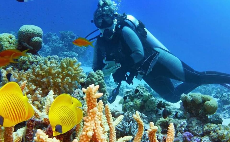 Diving and Snorkeling Day Trip from Hurghada, Egypt