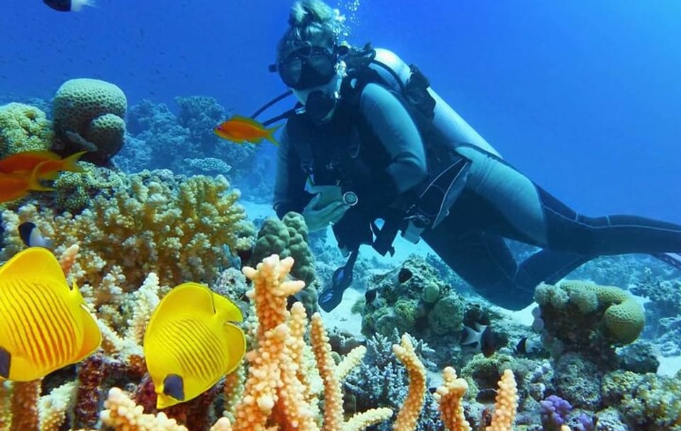 Diving and Snorkeling Day Trip from Hurghada, Egypt
