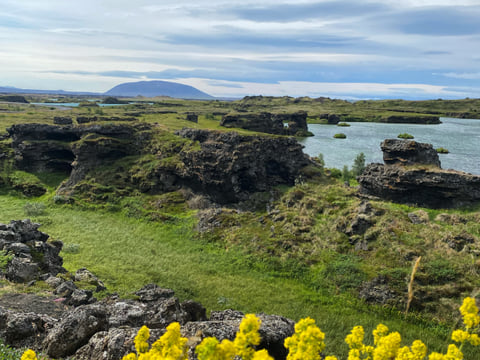 Mythical Mývatn and the waterfall of the gods- Private Tour, photo 5