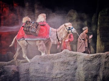 Silk Road Show:Legend of Camel Bell Includes Round-trip Transfers