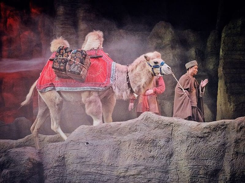 Silk Road Show:Legend of Camel Bell Includes Round-trip Transfers