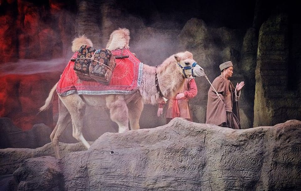 Camel Bell Show Experience with Round-Trip Transfers in Xi'an