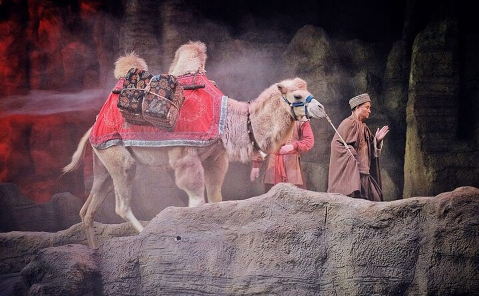Camel Bell Show Experience with Round-Trip Transfers in Xi'an
