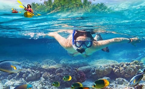 Kayaking Tour of Angthong National Marine Park from Ko Samui