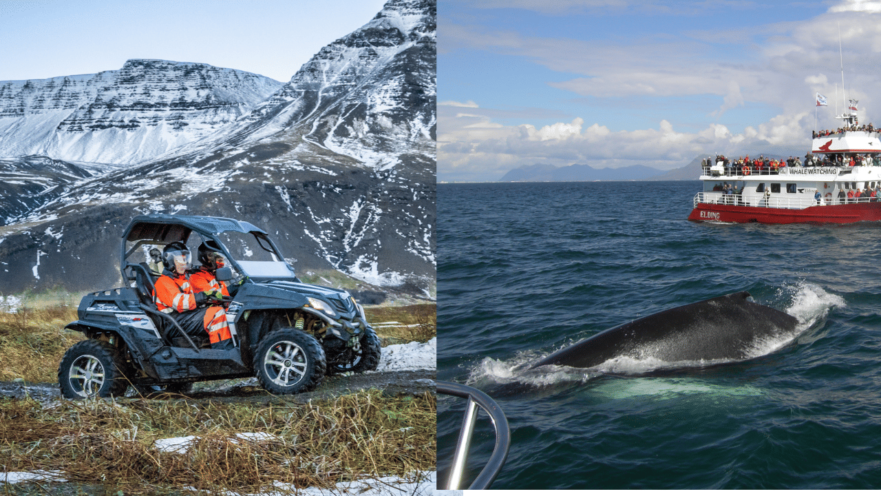 Buggy & Whales 7