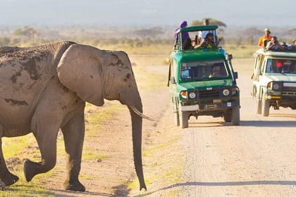 5-Day Amboseli, Tsavo West & Tsavo East Safari