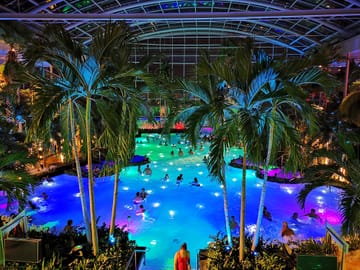 Therme Bucuresti: Ticket and Transfer