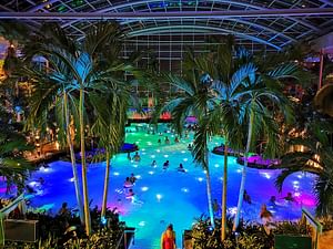 Admission ticket and transfer to Therme Bucuresti