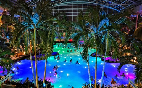 Therme Bucuresti: Ticket and Transfer