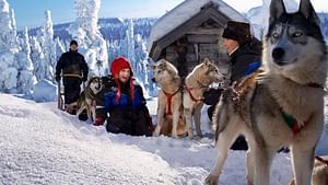 Arctic Circle Family Day with Snowmobile, Ice Fishing, Huskies and BBQ - Small Group Tour 