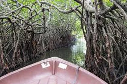 03 Day Tour From Colombo