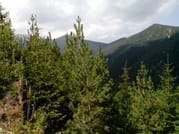 Private Horse Riding in the Balkan from Sofia 6