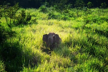 Khao Lak: Takua Pa Customizable Private Tour with Driver