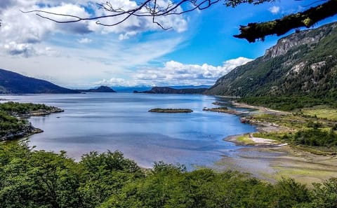Half-Day Nature Tour of Tierra del Fuego National Park, Ushuaia