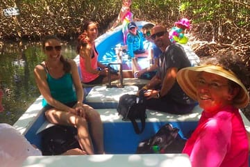 Mangrove Tunnel Snorkeling Tour in José Santos Guardiola