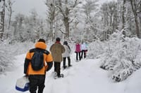 Enjoy a walk in racket in Ushuaia