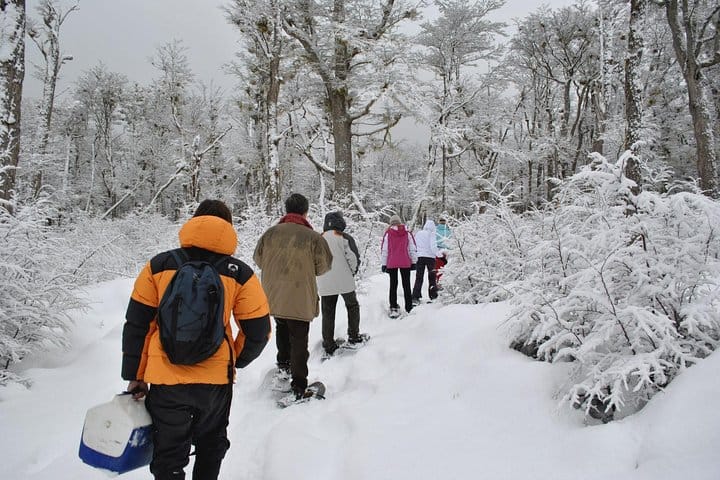 Enjoy a walk in racket in Ushuaia