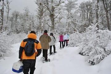 Hike and Snowmobile Adventure in Ushuaia, Argentina