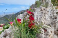 Half-Day Private Walking Tour along the Orthodox Gorge 2