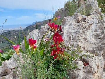 Private Half-Day Walking Tour in Chania's Orthodox Gorge