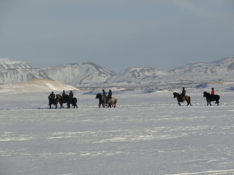 Riding on ice - Lake Myvatn, photo 4