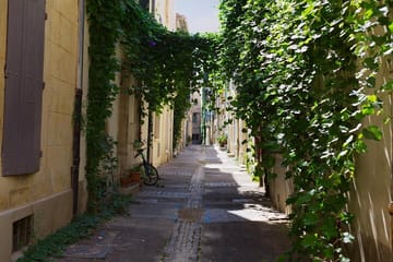 Private Historic Walking Tour of Arles, France