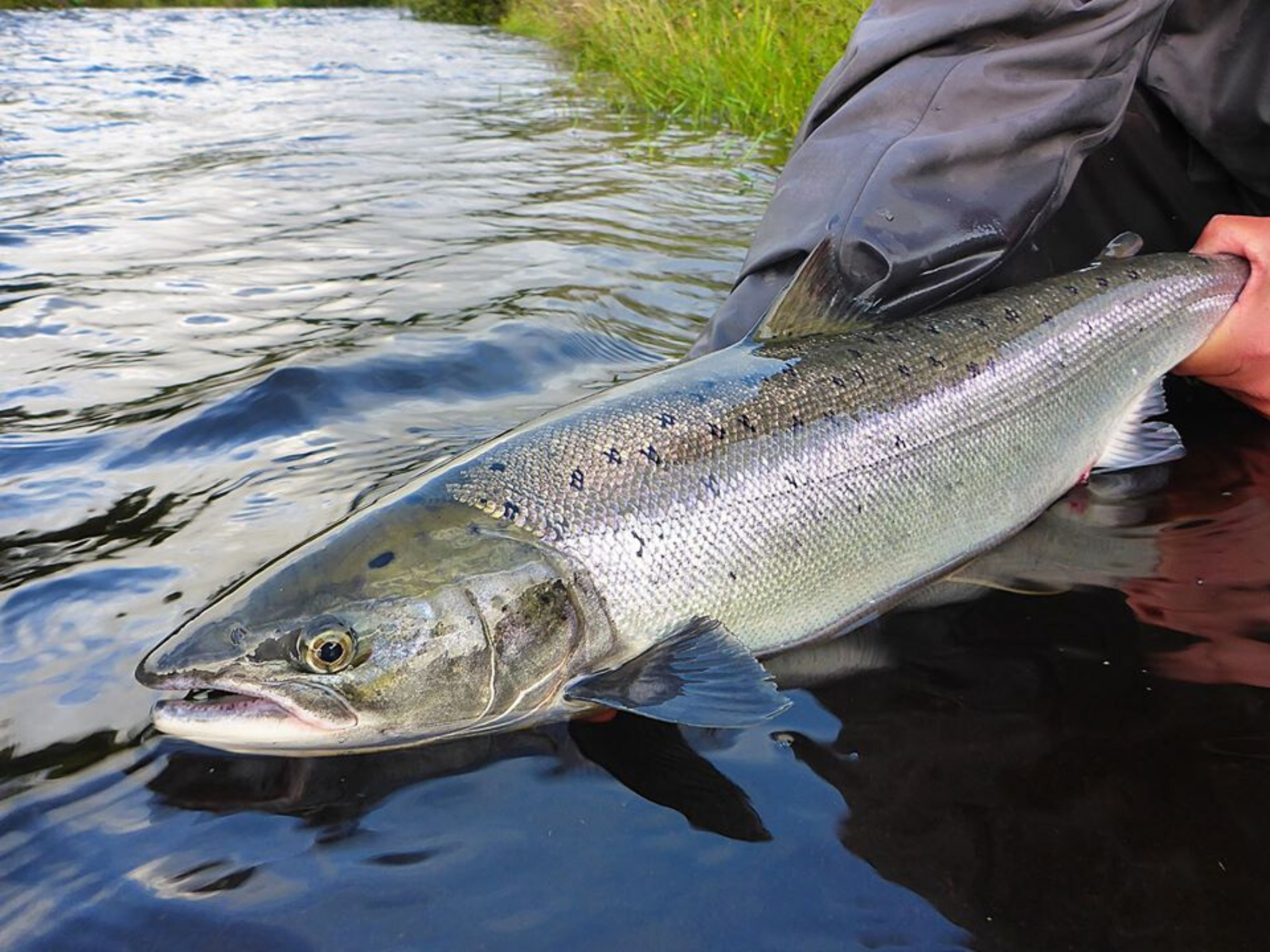 Salmon & trout fishing on a Connemara fishery. Galway. Private guided. French/Eng