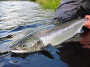 Salmon & trout fishing on a Connemara fishery. Galway. Private guided. French/Eng 4