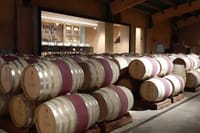 Private Casa Blanca Valley Wine Experience from Santiago 10