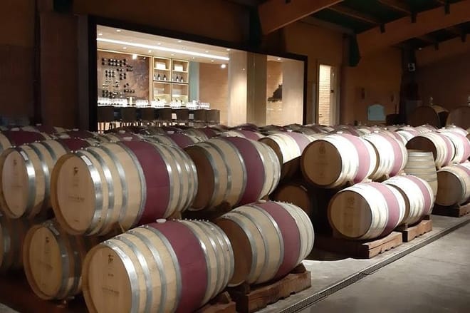 Private Casa Blanca Valley Wine Experience from Santiago 10