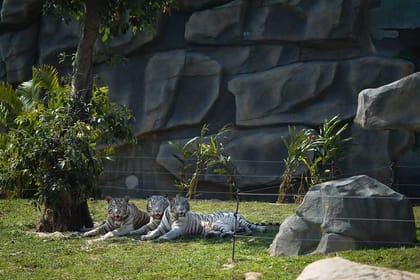 Hoi An: South Hoi An River Safari With Candle-lit Beach Dinner
