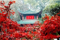 Changsha Private Highlight Day Tour 5