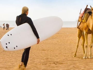 From Marrakech To Essaouira Mogador Full Day Trip | Small-group
