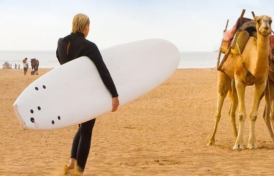 From Marrakech To Essaouira Mogador Full Day Trip | Small-group