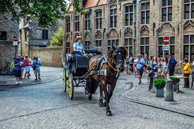 Private Bruges, Ghent Full-day trip by Mercedes from Paris. 8