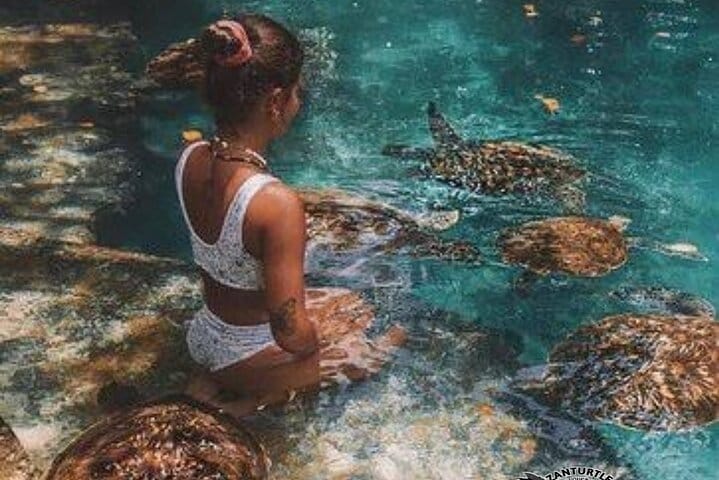 Mnemba Island Dolphins Watching and Snorkeling