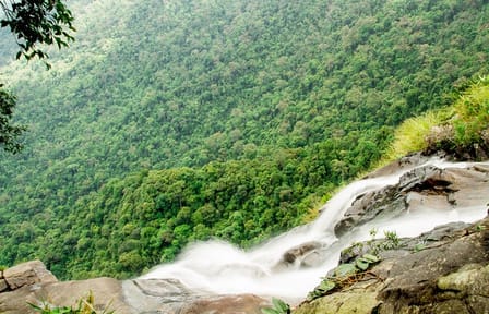 Hoi An: Full-day Bach Ma National Park Trek And Beach Retreat