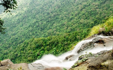 Full-Day Trek in Bach Ma National Park and Lang Co Beach from Hoi An