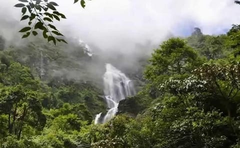 Sapa Town and Bac Ha Market Two-Day Cultural Tour