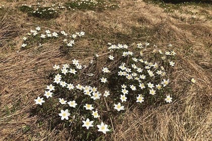 Small-group day trip to the unique volcanic lake in Eastern Europe